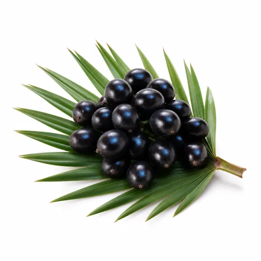 Икона на Серена репенс (Saw Palmetto)